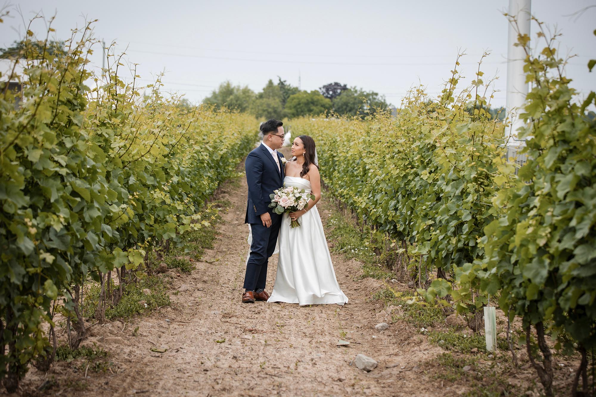 Vintage Hotels Weddings at Bella Terra Vineyards